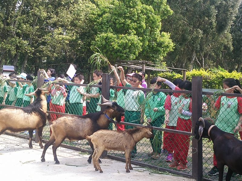 photo
