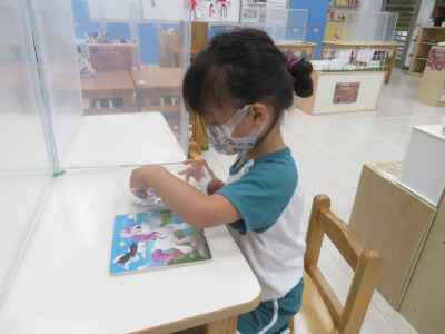 photo